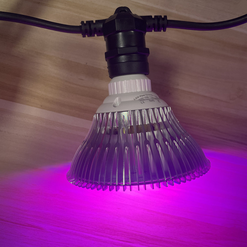 10M Cable LED String Commercia - Outdoor Lighting Strip ulasan dan harga