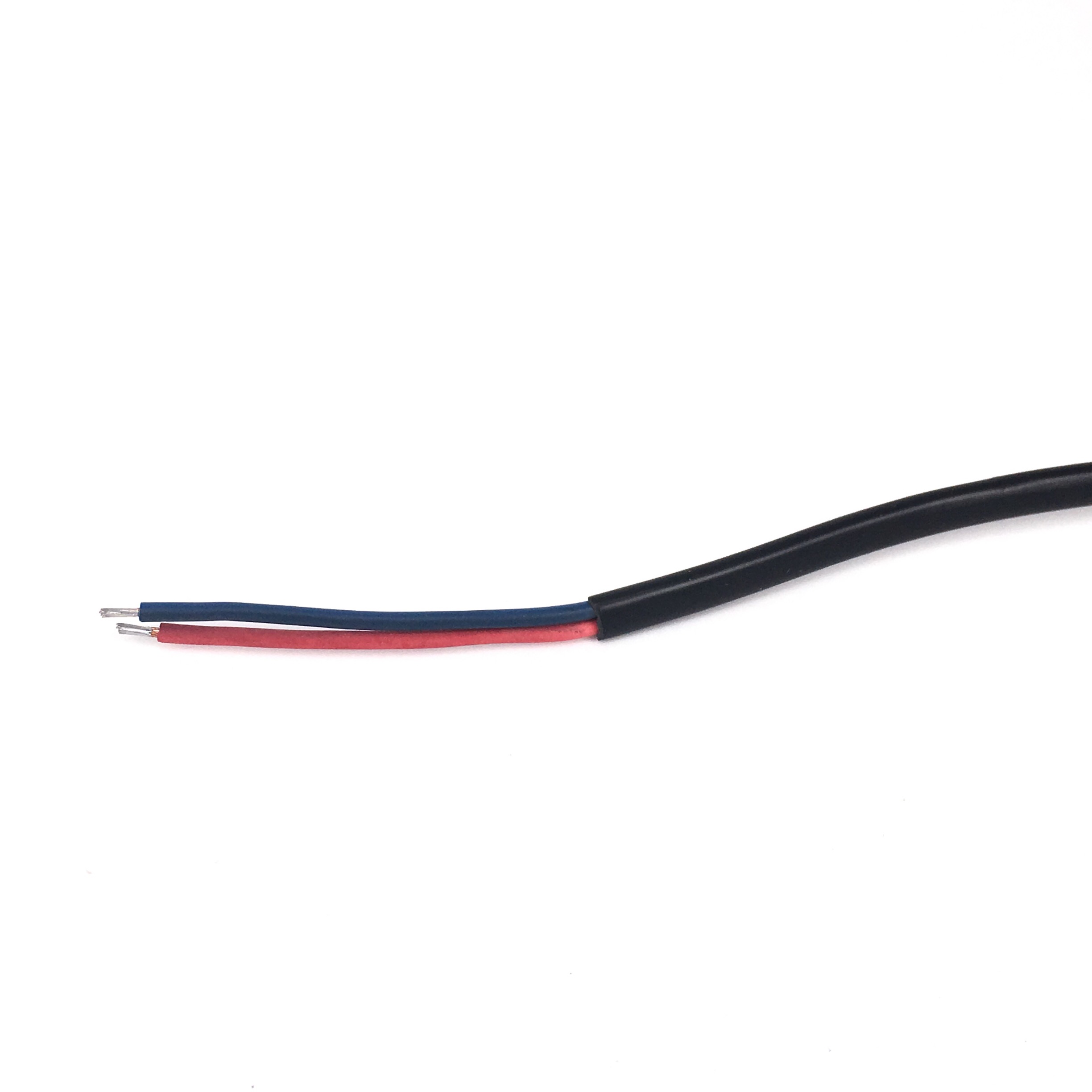 Bltdz EU European AC Power Ext - Outdoor Lighting Japan ulasan dan harga
